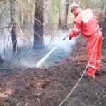 Jelcz-Laskowice: Strażacy z Jelcza walczyli z pożarem lasu, susza mimo deszczu nie odpuszcza